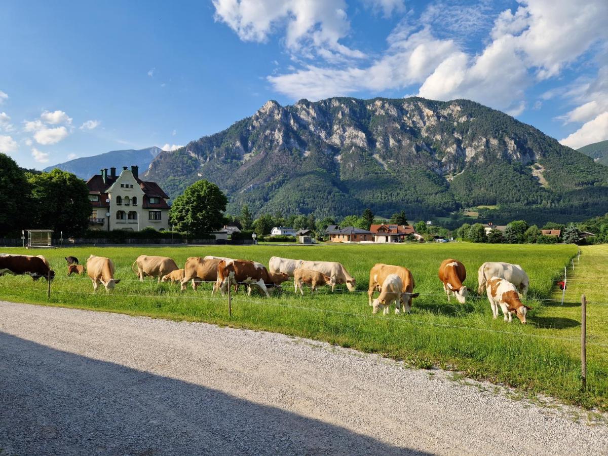 Apartament Leo-Hof Hirschwang Zewnętrze zdjęcie